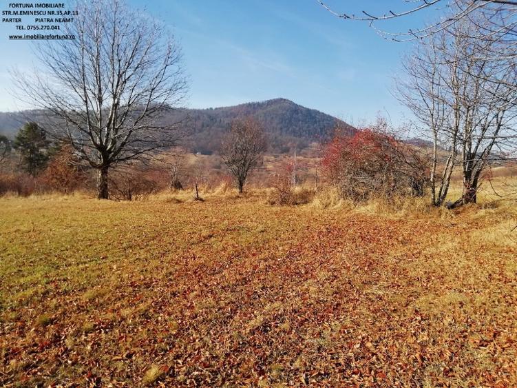 Teren de 5500 mp, în Alexandru cel Bun