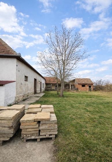 Spațiu comercial, de 149 mp, în Cermei