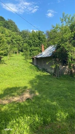Casă cu 2 camere cu Teren 70 Mp în Provița de Jos