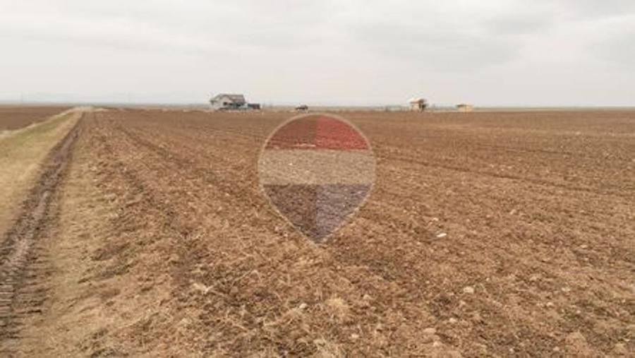 Teren agricol intravilan de 52410 mp, în Tărlungeni