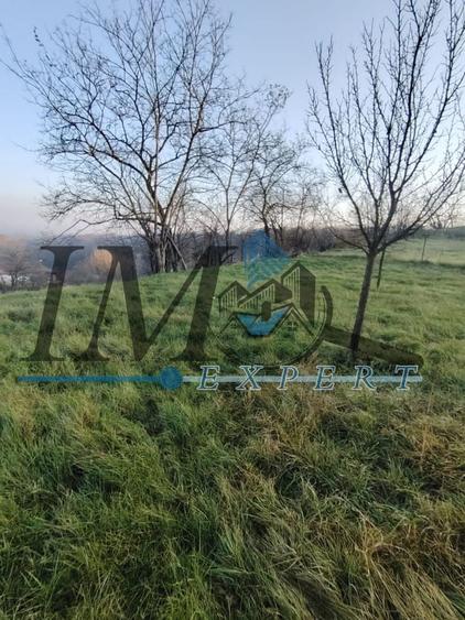 Teren Construcții intravilan de 1785 mp, în Pâclișa