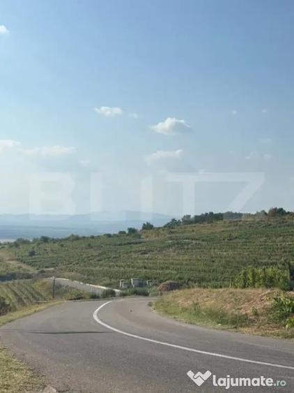 Casă cu 2 camere cu Teren 1700 Mp în Seciu