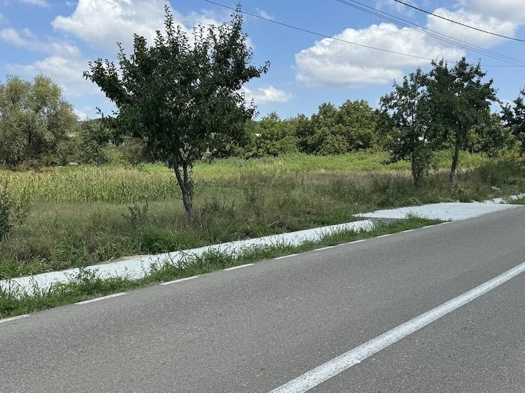Teren de 1000 mp, în Lipovăț