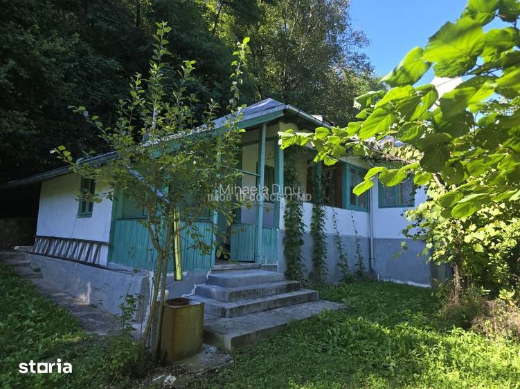 Vanzare Casuta pitoreasca la padure, teren 3159mp, in Gogeasca