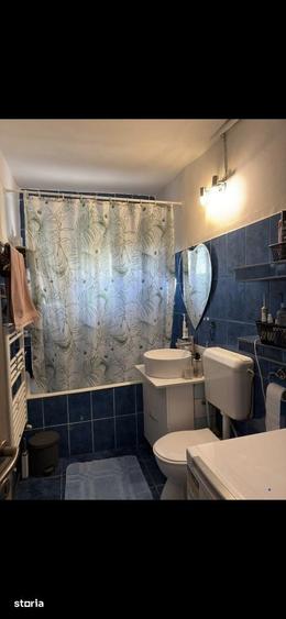 Apartament 2 camere de vanzare Timi?oara, zona Parc Padurice - 10