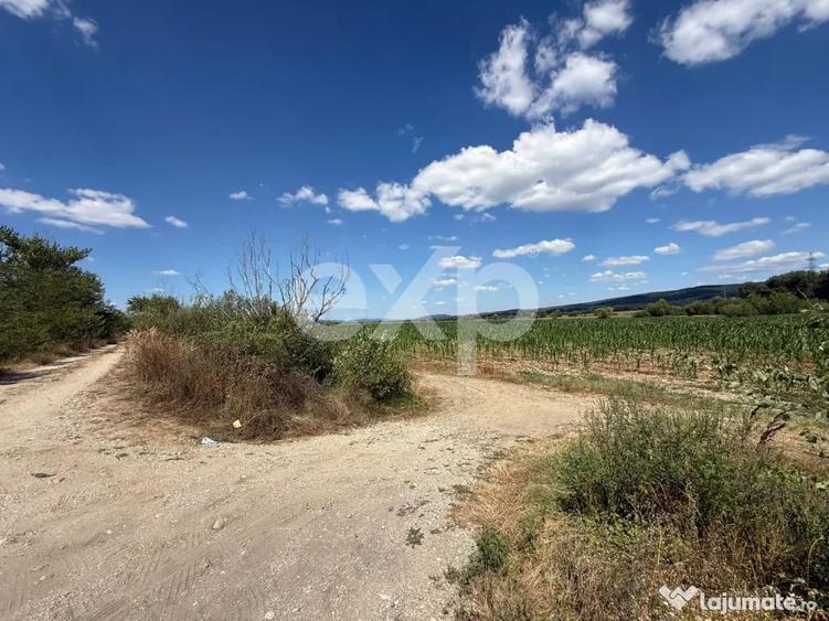 Teren 14.000 mp in Budeasa cu vedere superba catre baraj - 2