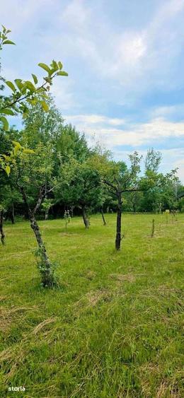 Casă cu 3 camere în Racovița