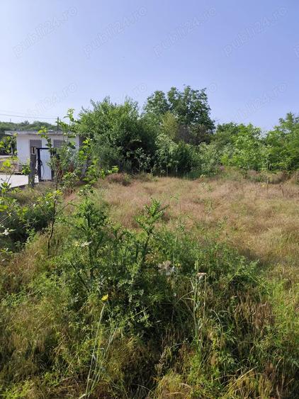 Teren de 780 mp, în Crângu