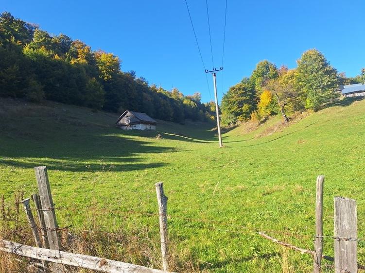 Teren de 16000 mp, în Ciocanu