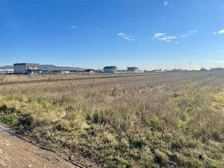 Teren agricol extravilan de 5000 mp, în Calea București