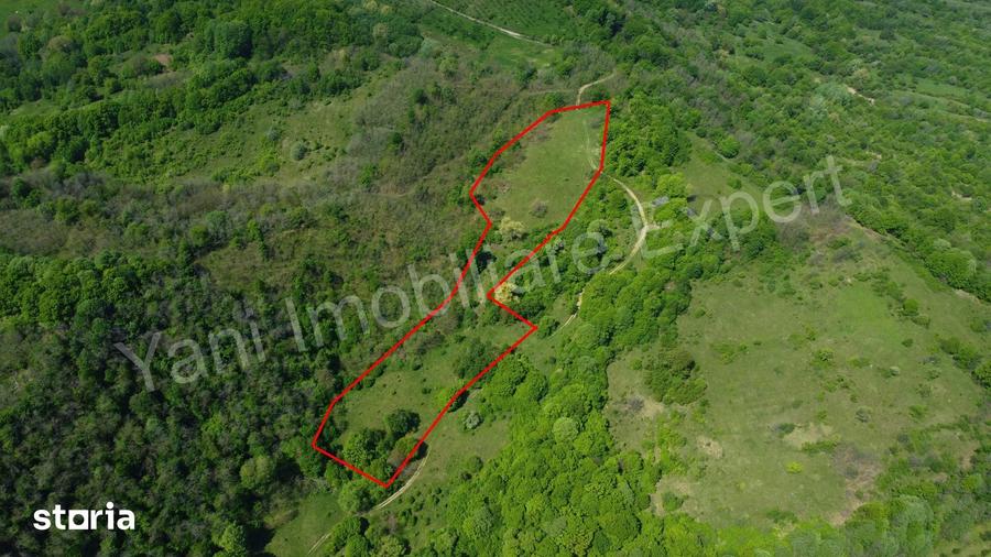 Teren de 19452 mp, în Central