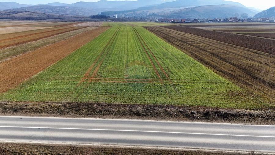 Teren agricol extravilan de 14600 mp, în Tărlungeni