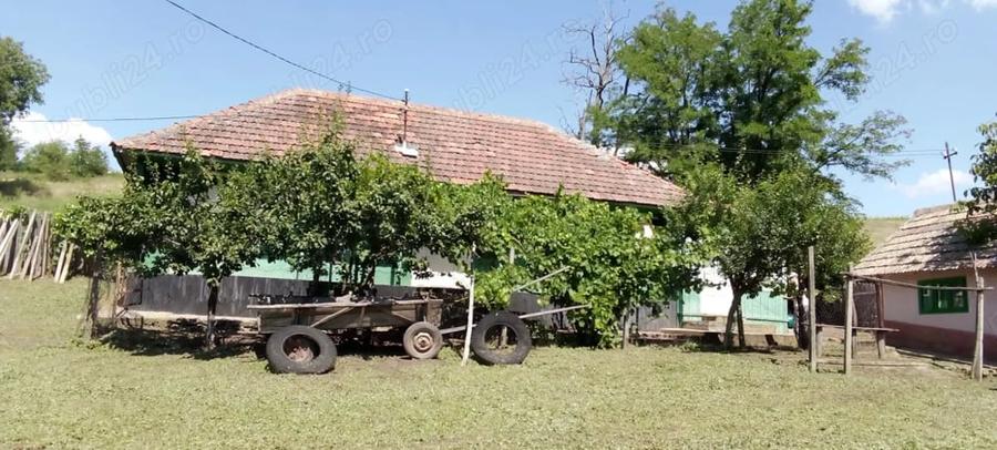Casă cu Teren 4634 Mp în Gugești