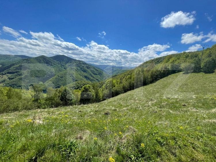 Teren agricol extravilan de 6000 mp, în Valea Ierii