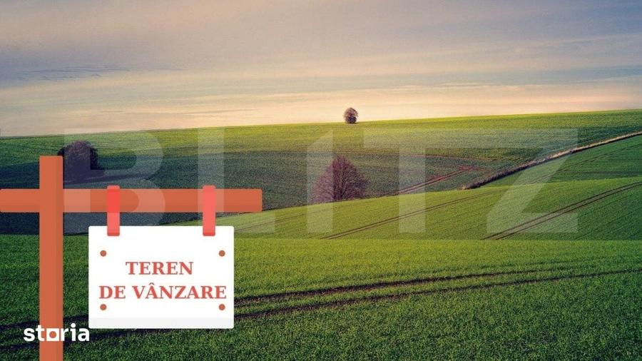Teren de 125000 mp, în Bara