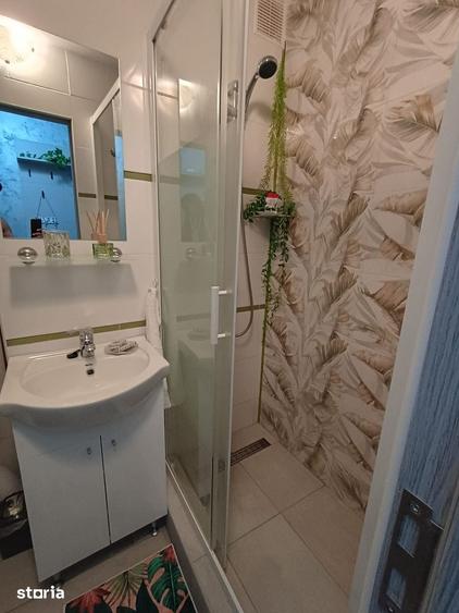 Apartament cu 2 camere în Săsar