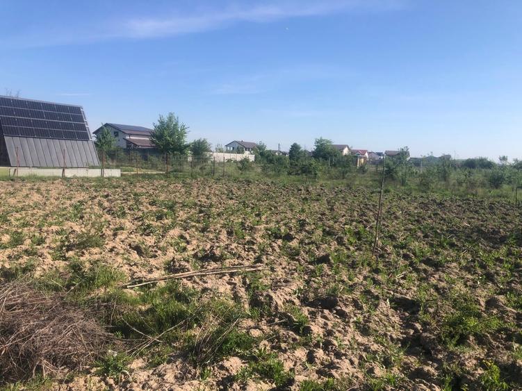 Teren Construcții intravilan de 592 mp, în Cosoba