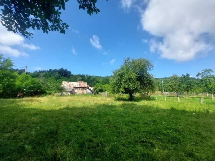 PF Vand teren1700 mp intravilan Vlade?ti, AG - 1