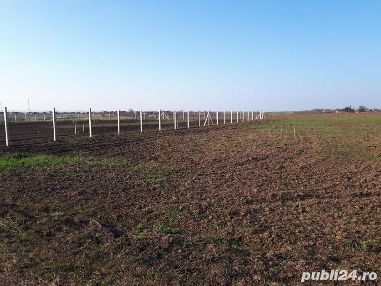 Teren de 805 mp, în Cornești