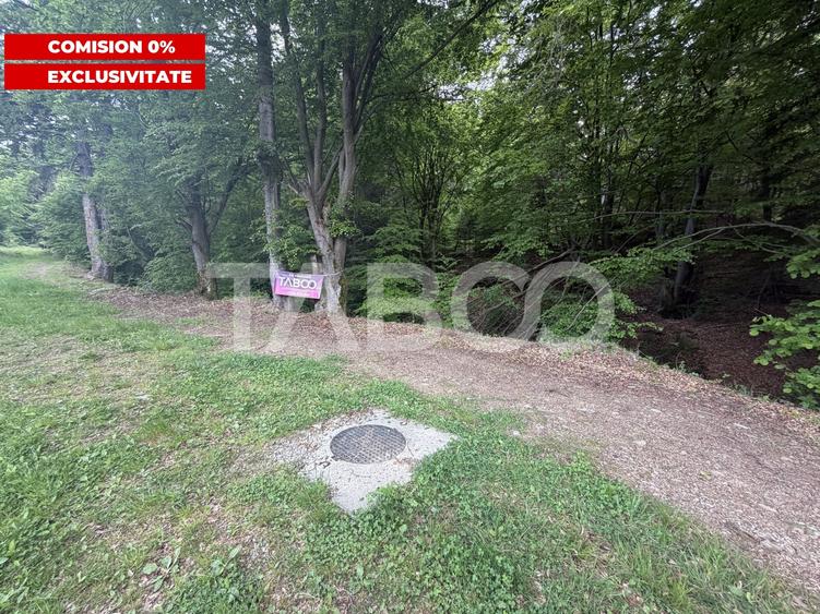 Teren Construcții intravilan de 1000 mp, în Drăguș