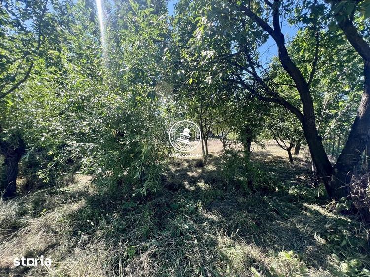 Casă cu 2 camere cu Teren 1940 Mp în Ciurea