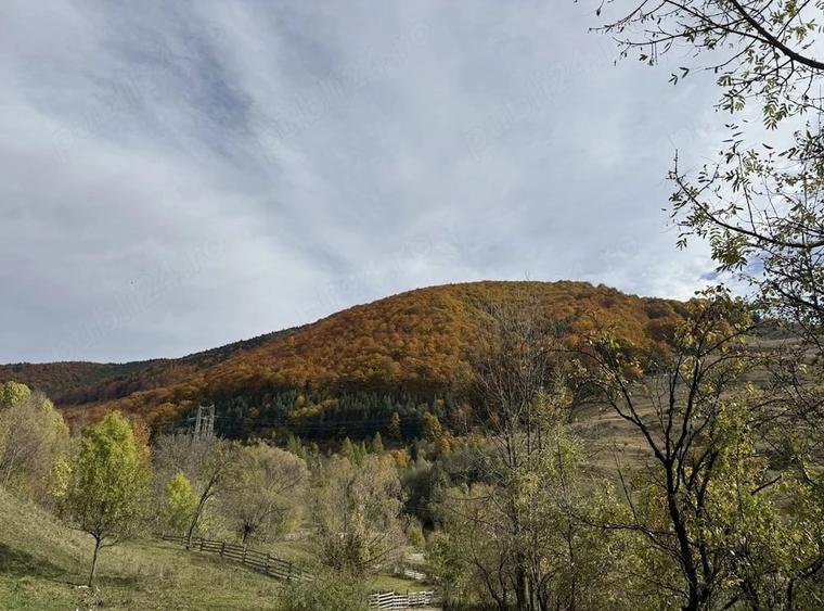 Proprietar, vand teren intravilan Malul Negrasului - Traisteni, Valea Doftanei - 1
