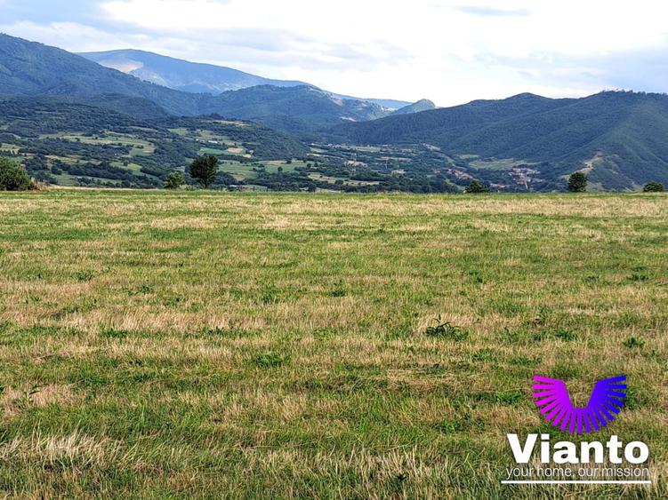 Teren agricol extravilan de 6200 mp, în Rășinari