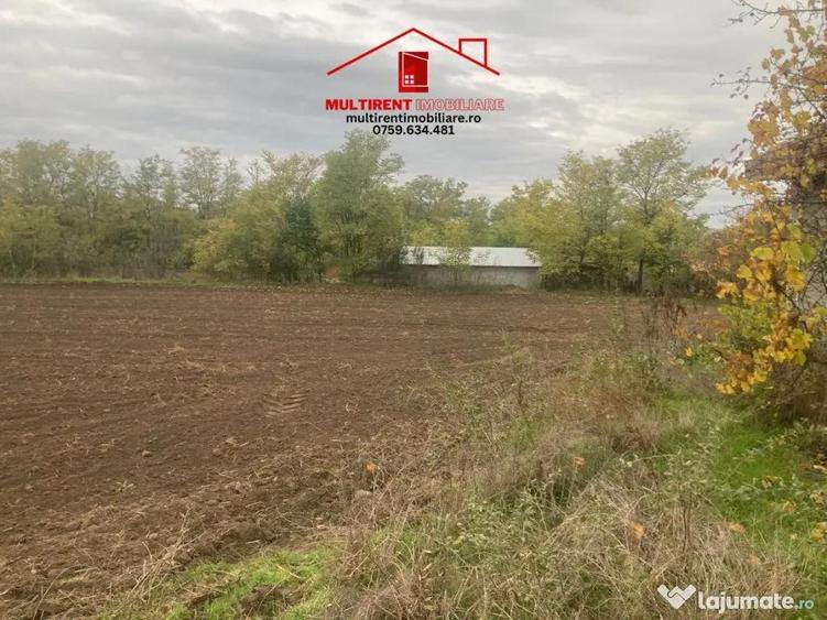 Casă cu 3 camere cu Teren 3895 Mp în Rândunica