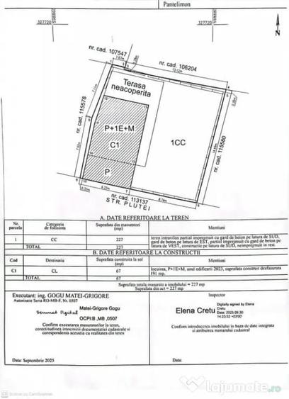 VILA NOUA PANTELIMON -CERNICA - Bucuresti (Bucuresti-Ilfov) - 14