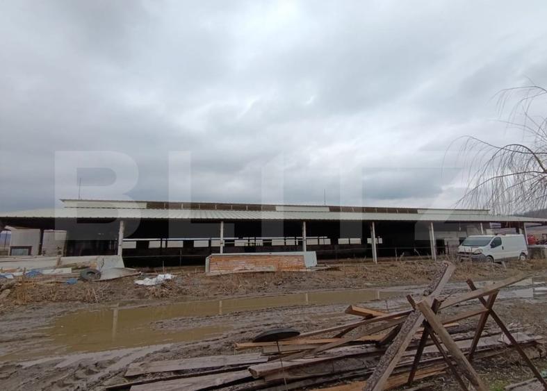 Spațiu industrial, de 6,600 mp, în Valea Lungă