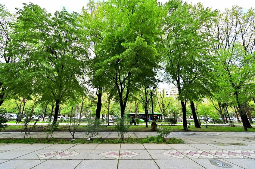 Apartament cu 4 camere semidecomandat în Centrul Civic