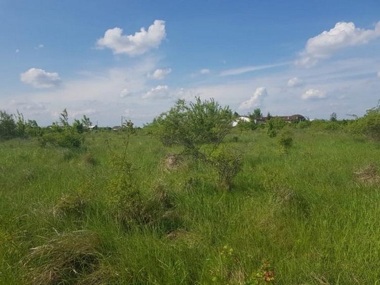 Teren Construcții intravilan de 3000 mp, în Ciolpani