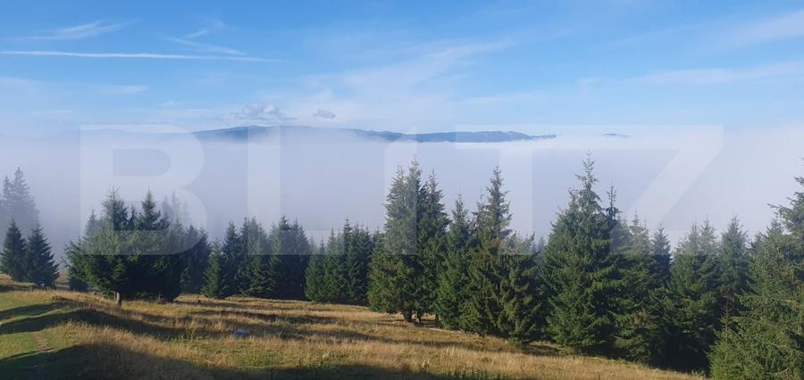 Teren Construcții extravilan de 50000 mp, în Vatra Dornei