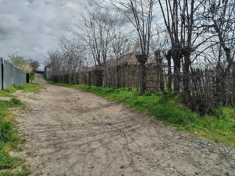 Teren de 1801 mp, în Ijdileni