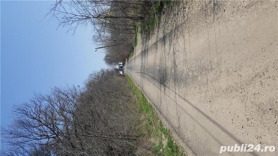 Teren de 16729 mp, în Balotești