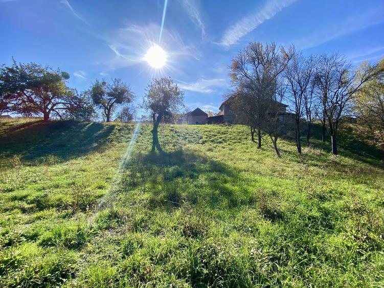 Casă cu 4 camere cu Teren 3400 Mp în Cornițel