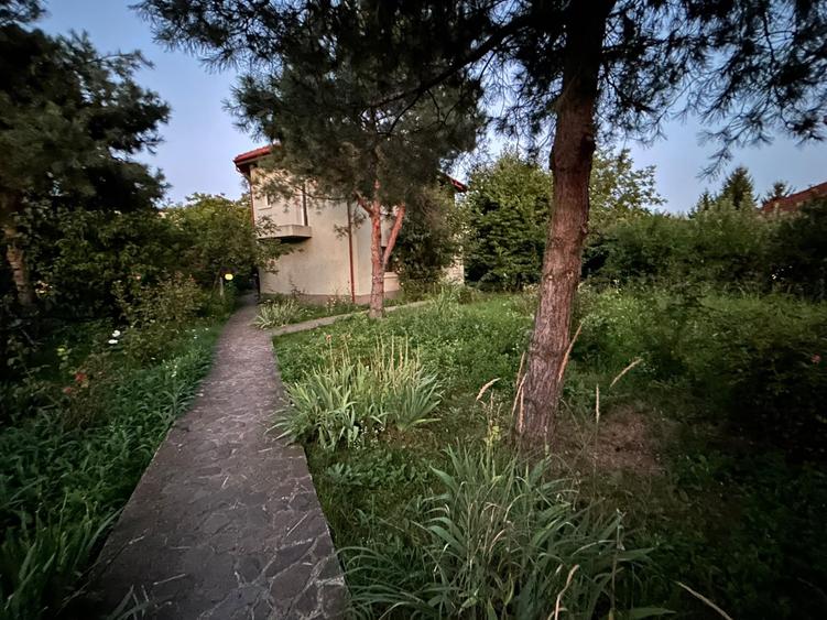 Inchiriere vila Pipera - 16