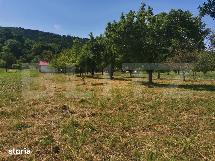 Casă cu 5 camere decomandat cu Teren 1370 Mp în Vețel