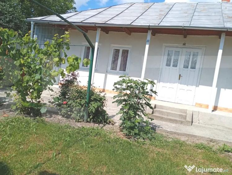 Casă cu 2 camere cu Teren 3600 Mp în Broscăuți