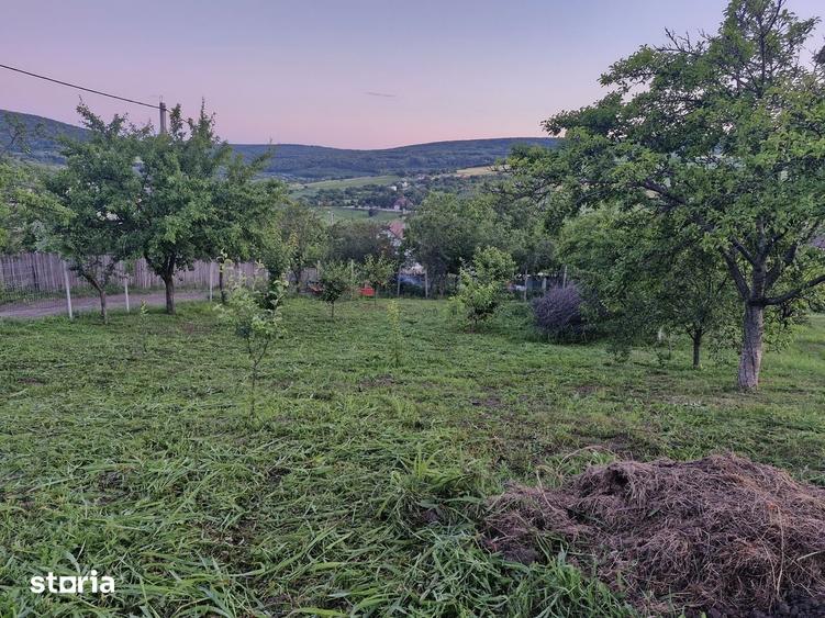 Teren de 740 mp, în Tomești