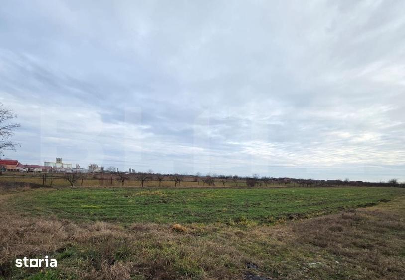 Teren de 5900 mp, în Burdea
