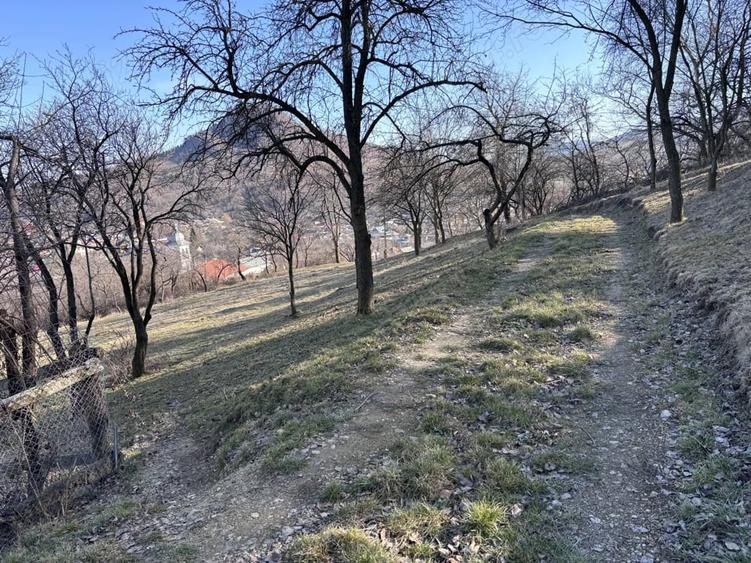 Teren de 5000 mp, în Gârcina