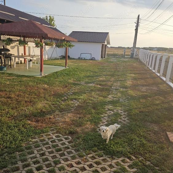 Casă cu 3 camere în Strejnicu