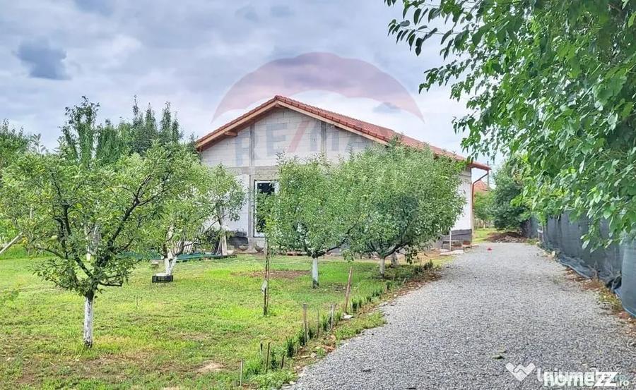 Casă cu 3 camere cu Teren 1237 Mp în Miniș