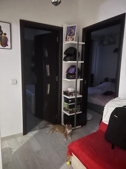 Apartament 2 camere Bragadiru - 2