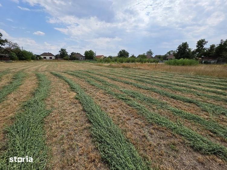 Teren de 2440 mp, în Sânnicolau Român