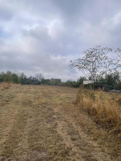 Teren Construcții intravilan de 4227.7099609375 mp, în Clinceni