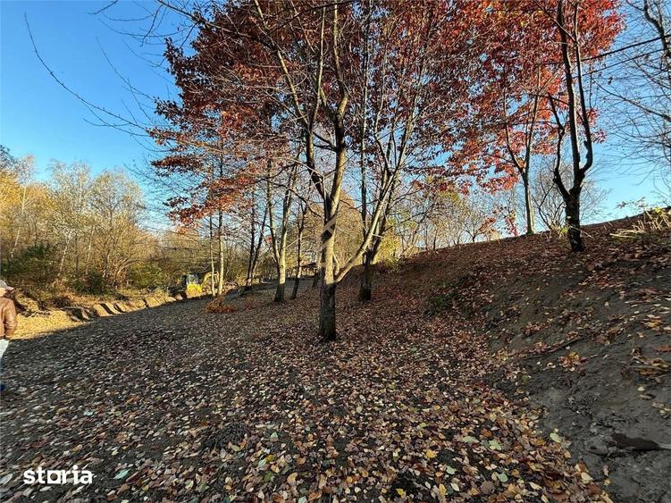 Teren de 10000 mp, în Recea