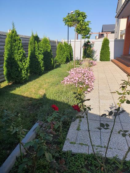 Casă cu 3 camere în Central