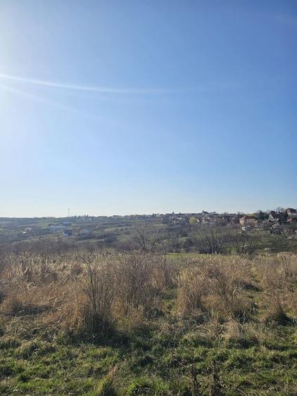 Teren agricol intravilan de 850 mp, în Săldăbagiu de Munte